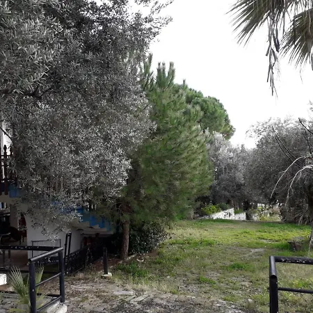 Asia Apart Hotel מלון דירות *